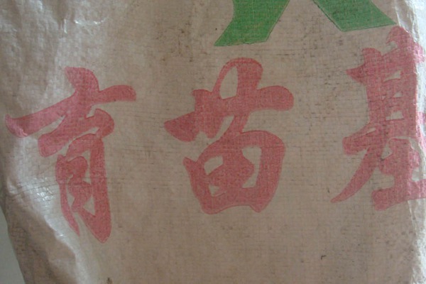 藤本月季上盆緩苗要點(diǎn)詳解