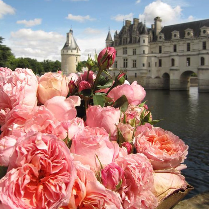 達(dá)梅思(Dames de Chenonceau)