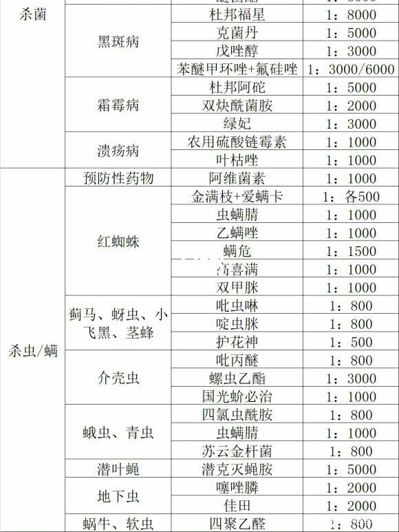 一張圖詳細(xì)教你怎么打造爆花盆栽月季