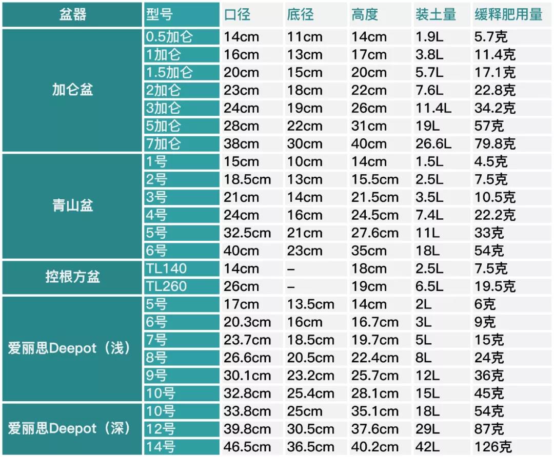 月季秋季復(fù)花指南