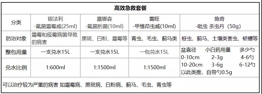 月季病蟲害防治與用藥大全