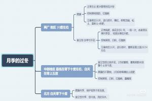 全國(guó)各地月季如何過冬(月季安全越冬的注意事項(xiàng))