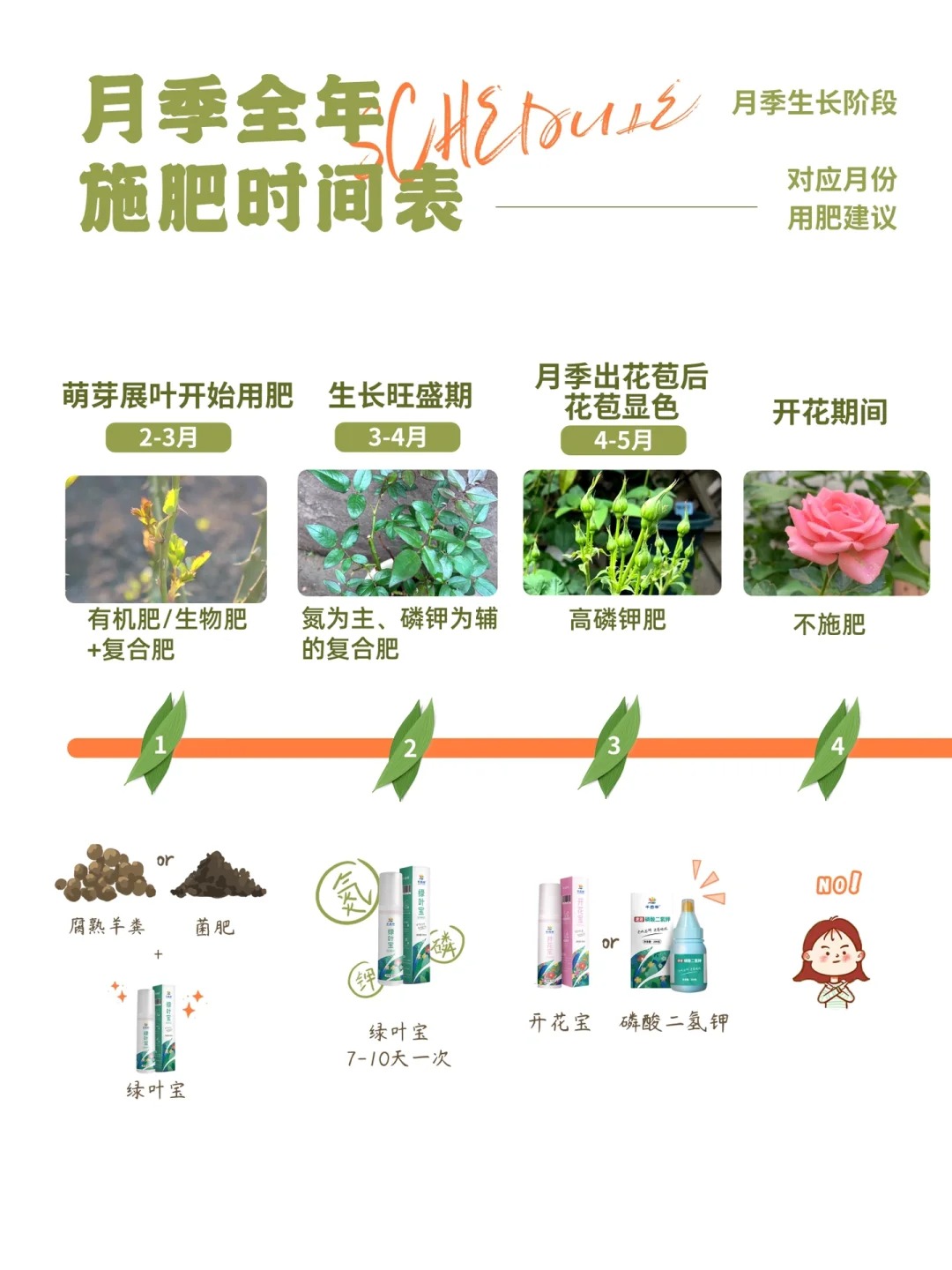 月季花需要什么肥料