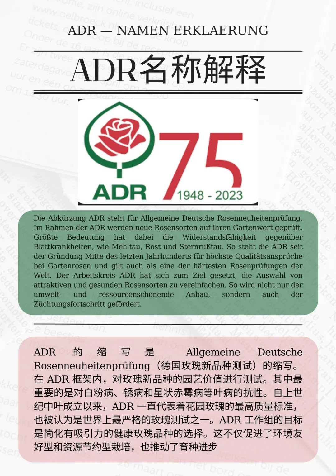 什么是ADR認(rèn)證，ADR月季官網(wǎng)名單