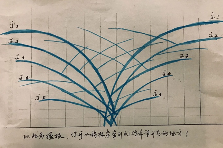 藤本月季的修剪和牽引詳細(xì)攻略