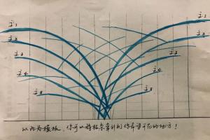 藤本月季的修剪和牽引詳細攻略